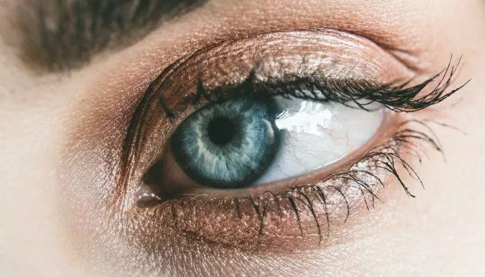 10+ Rekomendasi Merk Eyeshadow Terbaik untuk Tampilan Mata yang Memukau