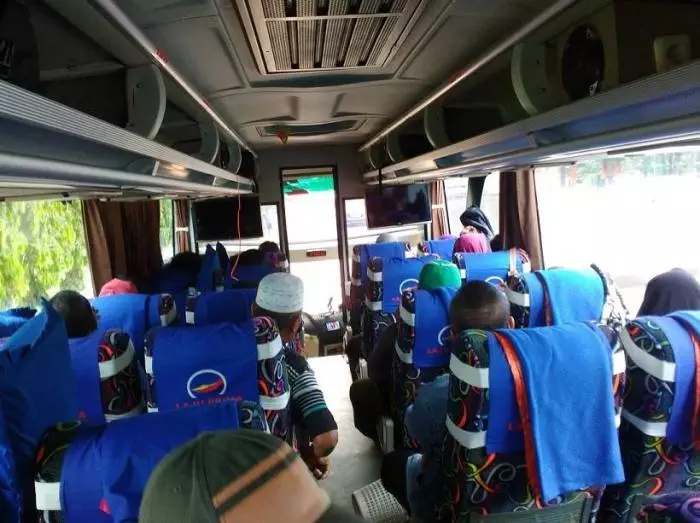 Bus laju gemolong merak