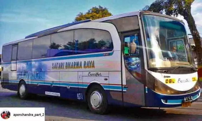 Harga Tiket Bus Safari Dharma Raya, Panduan Lengkap