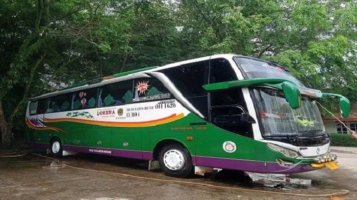Bogor lorena jadwal bus