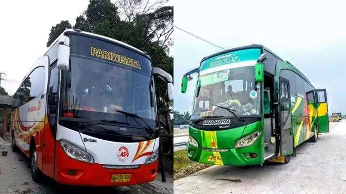 Cek Harga Tiket Bus Cirebon Palembang Terbaru dan Terlengkap!