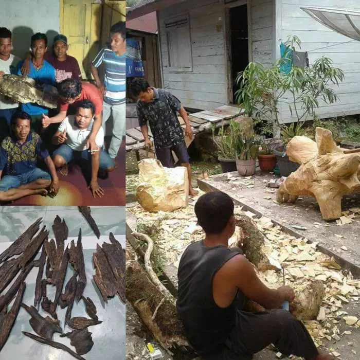 Cara Menjual Kayu Gaharu, Panduan Praktis untuk Meraih Keuntungan