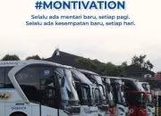 Harga Tiket Bus Purwokerto-Surabaya, Panduan Lengkap