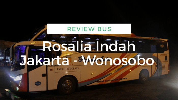 Cek Harga Tiket Bus Rosalia Indah Jakarta – Wonosari Terbaru