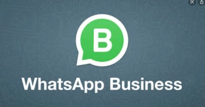 Cara Merubah WhatsApp Bisnis ke WhatsApp Biasa, Panduan Langkah demi Langkah