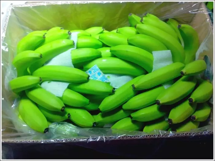 Cara Menjual Pisang Cavendish, Panduan Lengkap